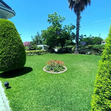 Apartamento Palm Beach *